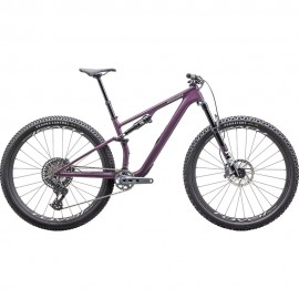 2025 Specialized Epic 8 EVO Expert Mountain Bike