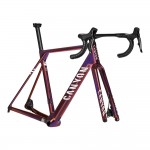 2025 Canyon Ultimate CFR Disc Frame and Brake Kit
